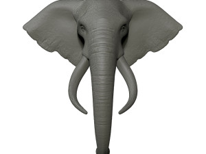 elephant head trophy wall mount 3D 프린트 모델