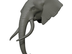 elephant head trophy wall mount 3D प्रिंट मॉडल