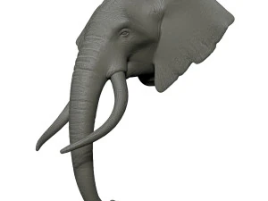 elephant head trophy wall mount 3D Print Model
