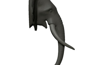elephant head trophy wall mount 3D प्रिंट मॉडल
