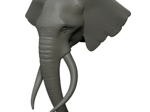 elephant head trophy wall mount 3D प्रिंट मॉडल