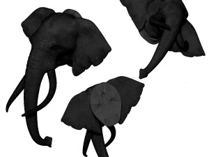 elephant head trophy wall mount 3D Print Model