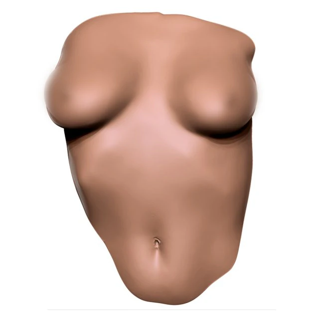 Dekoracja ścienna kobiecego tułowia Model do druku 3D .c4d .max .obj .3ds .fbx .stl .blend 