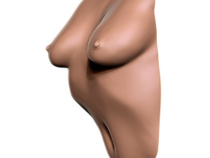 female torso wall deco 3D Print Model