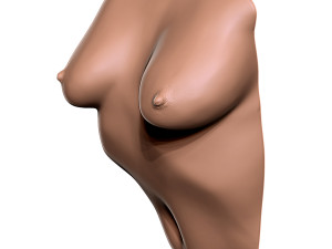 female torso wall deco 3D Print Model