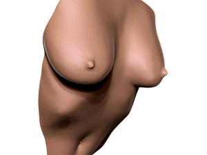 Dekoracja ścienna kobiecego tułowia Model do druku 3D