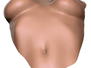 Dekoracja ścienna kobiecego tułowia Model do druku 3D