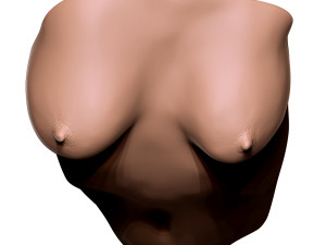 female torso wall deco 3D Print Model