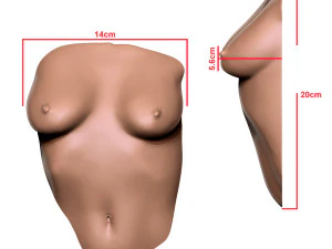 Dekoracja ścienna kobiecego tułowia Model do druku 3D