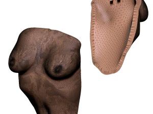 Dekoracja ścienna kobiecego tułowia Model do druku 3D