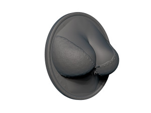 cleavage busty bra fridge magnets 3D Принт Модель