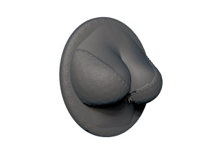 cleavage busty bra fridge magnets 3D Принт Модель