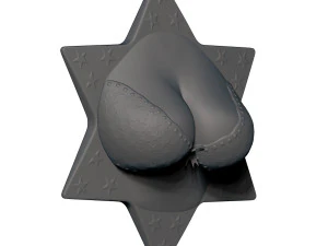cleavage busty bra fridge magnets 3D Print Model