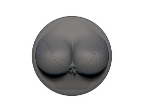 cleavage busty bra fridge magnets 3D Принт Модель