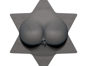 cleavage busty bra fridge magnets 3D Принт Модель