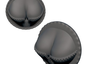 cleavage busty punk fridge magnets 3D Print Model