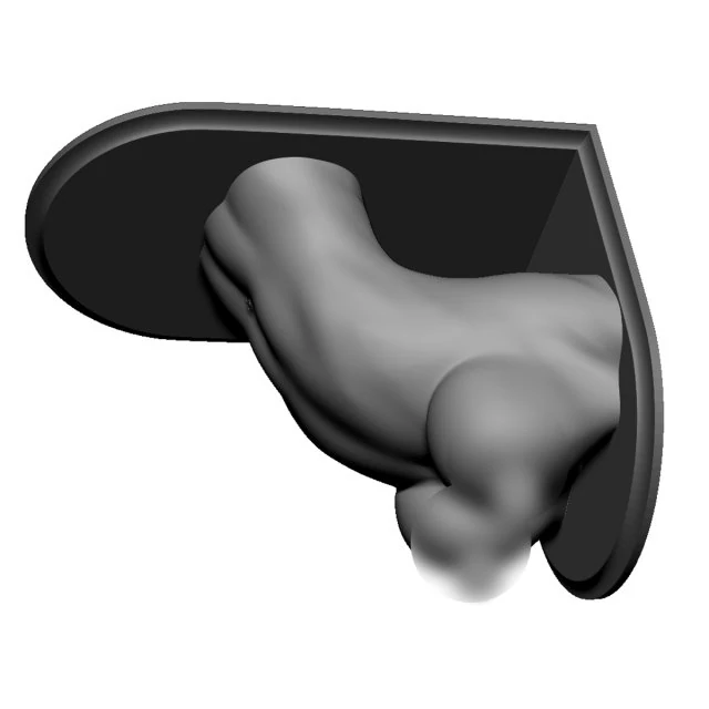 wsporniki p&oacute;łek kobiecy tuł&oacute;w Model do druku 3D .c4d .max .obj .3ds .fbx .stl .blend 