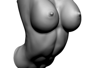 shelf brackets female torso 3D Baskı Modeli