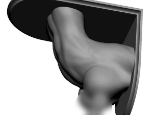 Regalhalterungen, weiblicher Oberk&ouml;rper, Brustwarze durchbohrt 3D Druckmodell