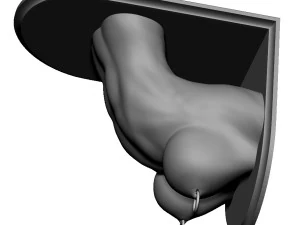 suportes de prateleira torso feminino mamilo perfurado Modelo de Impressão 3D