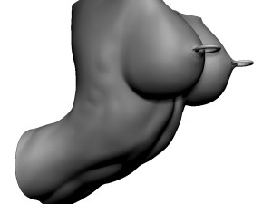 shelf brackets female torso nipple pierced 3D 打印模型
