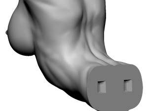 shelf brackets female torso nipple pierced 3D 打印模型