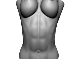 shelf brackets female torso nipple pierced 3D 打印模型