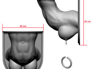 shelf brackets female torso nipple pierced 3D 打印模型