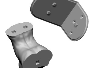 shelf brackets female torso nipple pierced 3D 打印模型