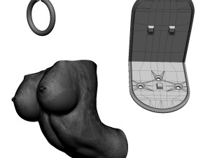 shelf brackets female torso nipple pierced 3D 打印模型
