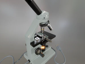microscope 3D Model