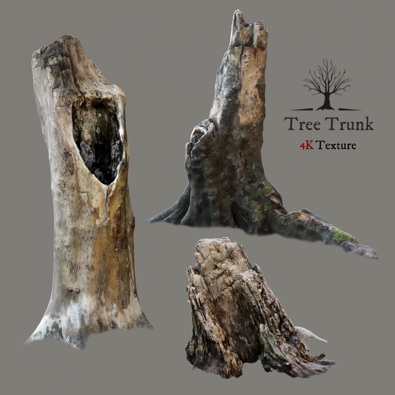 tree trunk 3D Model .c4d .max .obj .3ds .fbx .stl .blend 
