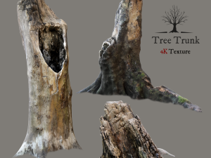 tree trunk Modèle 3D