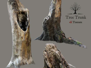 ствол дерева 3D Модель