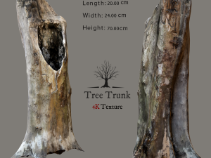 tree trunk Modelo 3D