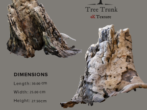 tree trunk Modelo 3D