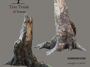 tree trunk Modelo 3D