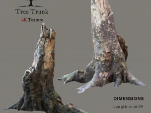 tree trunk 3D Model