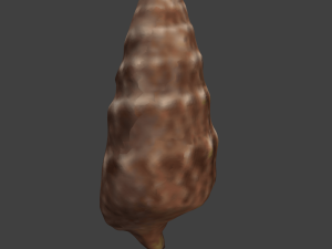 seashell and sea sponge 3D Model