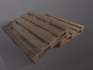 Photorealistic Epal 3D Model