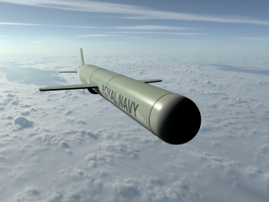 tomahawk missile 3D Model