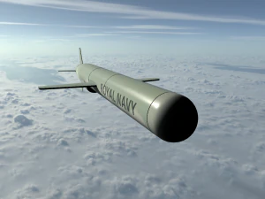 tomahawk missile 3D Model