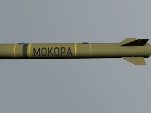 mokopa anti-tank missile Modèle 3D