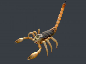 scorpion rigged game ready Modelo 3D