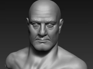 high poly male head 3D Model