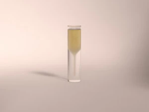 design-glass champagne 3D Model