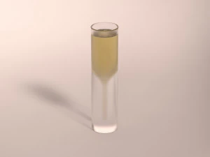 design-glass champagne 3D Model