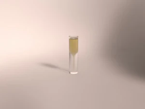 design-glass champagne 3D Model