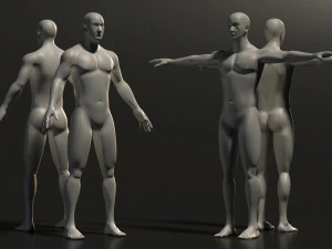 maglia di base --- posa a T neutra dell'uomo Modello 3D