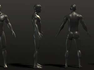 base mesh---man neutral t-pose 3D Model